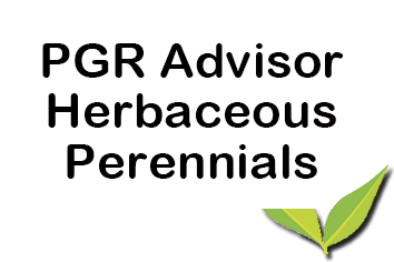 PGR Herbaceous