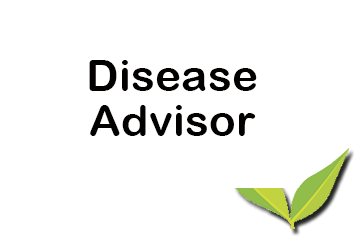 Disease Advisor