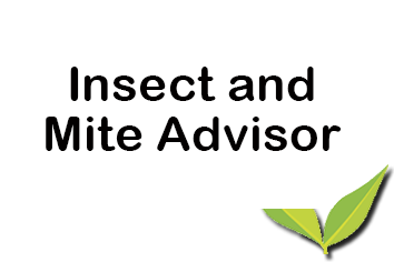 Insect and Mite Advisor