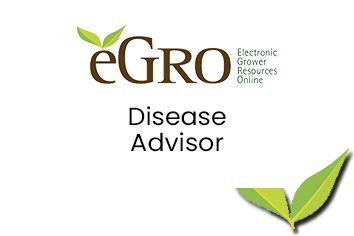 Disease Advisor