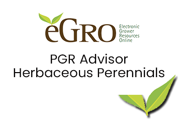 PGR Herbaceous